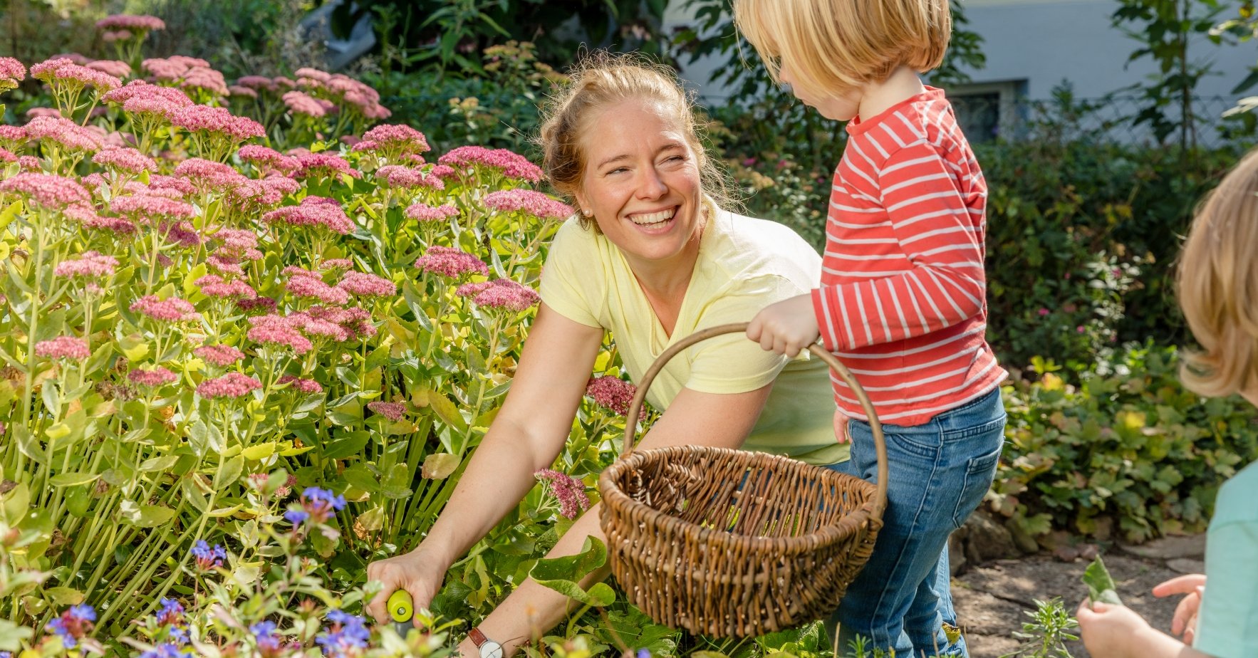 Tillsammans uppnår vi mer, med naturen som förebild Tillsammans uppnår vi mer, med naturen som förebild