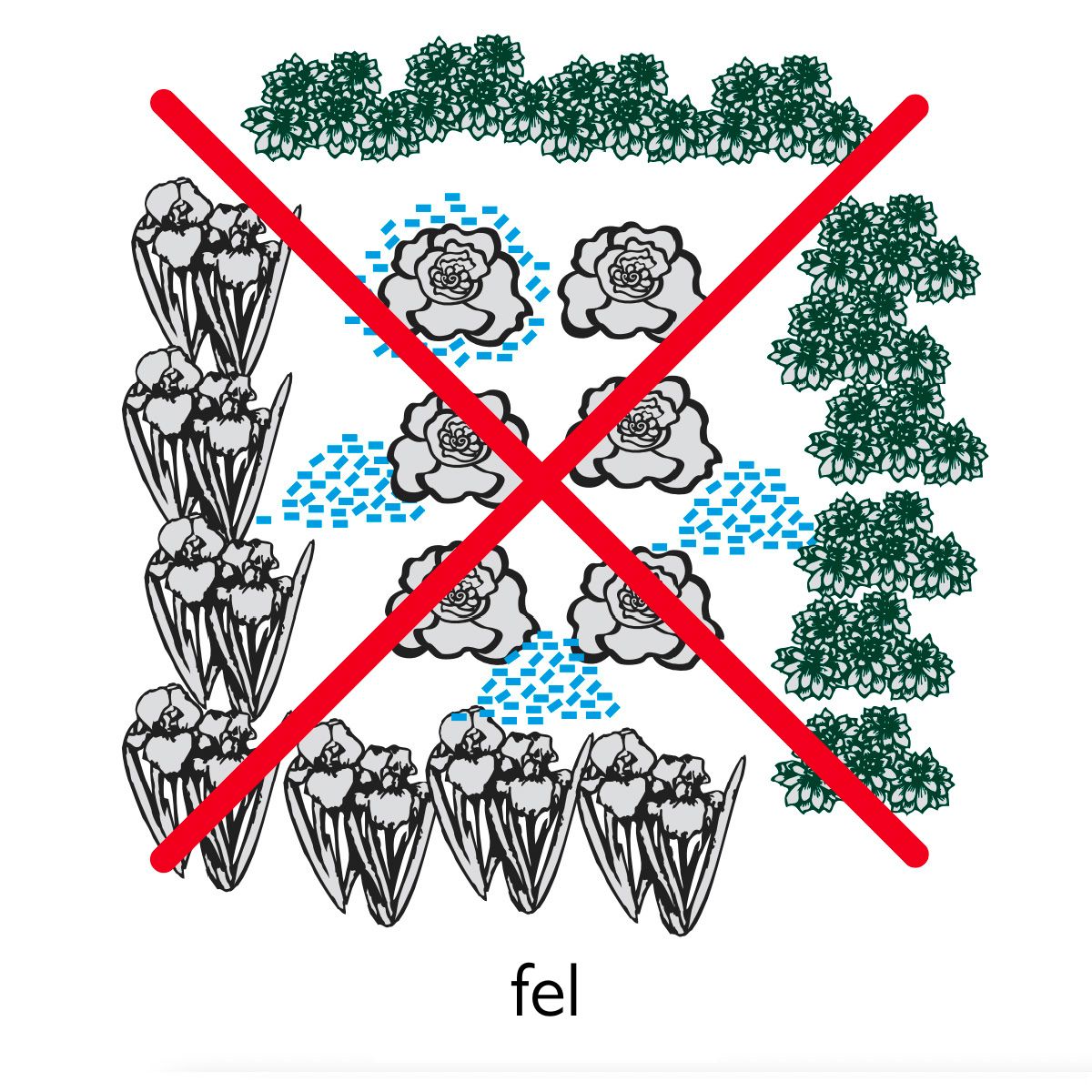 ett diagram över hur man använder Neudorff snigelgift på rätt sätt