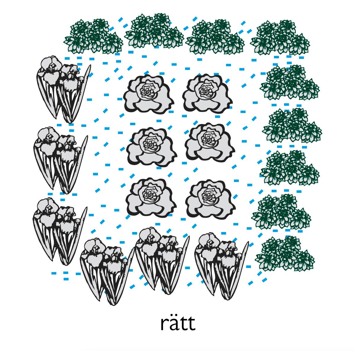 Ett diagram över hur Neudorffs snigelgift används på ett felaktigt sätt.