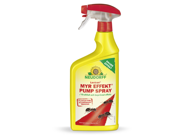 Loxiran Myr Effekt PumpSpray
